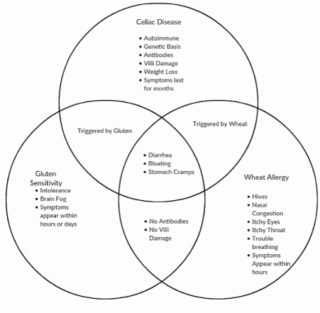 Gluten Sensitivity Is it Real Harley Street IBS Clinic